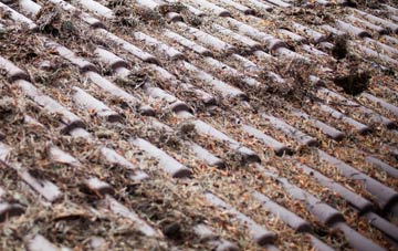 Hawstead Green roof cleaning companies