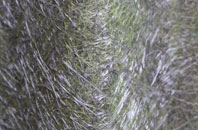 Hawstead Green fibreglass roof work